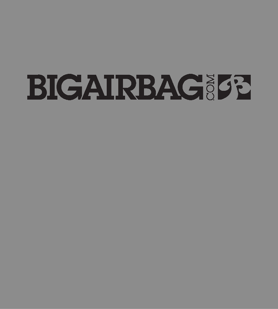 Big Air Bag logo